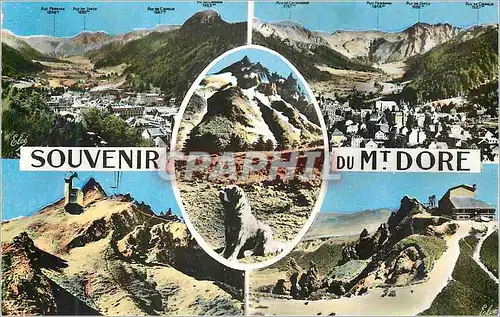 Cartes postales moderne Le Mont Dore de G a D Vue generale Chien