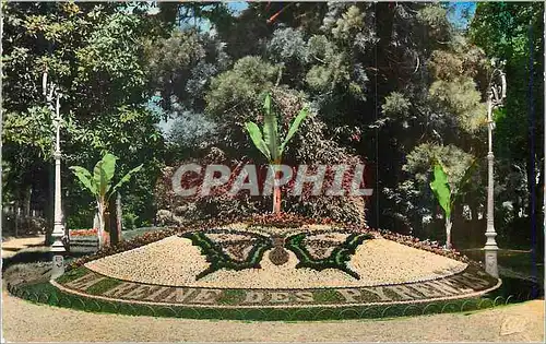 Cartes postales moderne Luchon Le Parc du Casino Papillon