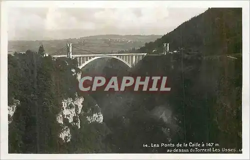 Moderne Karte Les Ponts de la Caille au dessus du Torrent les Usses