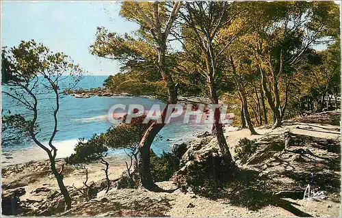 Cartes postales moderne Cote d Azur Bandol Chemin du Capeland