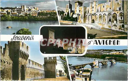 Cartes postales moderne Avignon Avignon et le Palais des Papes vus de Villeneuve