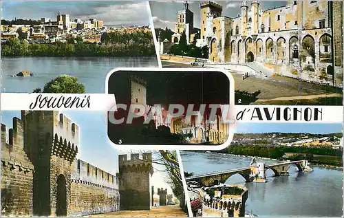 Moderne Karte Avignon Avignon et le Palais des Papes vus de Villeneuve