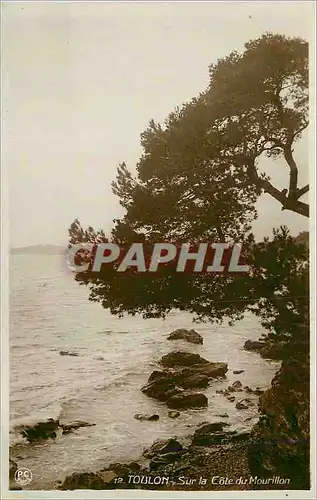 Cartes postales moderne Toulon Sur la Cote du Mourillon