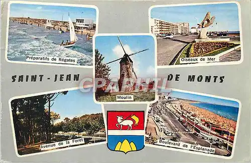 Cartes postales moderne Saint Jean de Monts Vendee Preparatifs de regates Oiseaux de mer Avenue de la foret Boulevard de