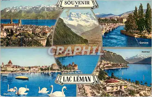 Cartes postales moderne Souvenir du Lac Leman