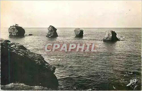 Cartes postales moderne Environs de Croix de Vie Sion sur l Ocean Les Pineaux