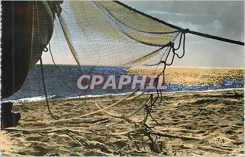 Cartes postales moderne Coucher de Soleil en Mediterranee Peche