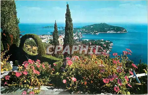 Cartes postales moderne La Cote d Azur Le Cap Ferrat