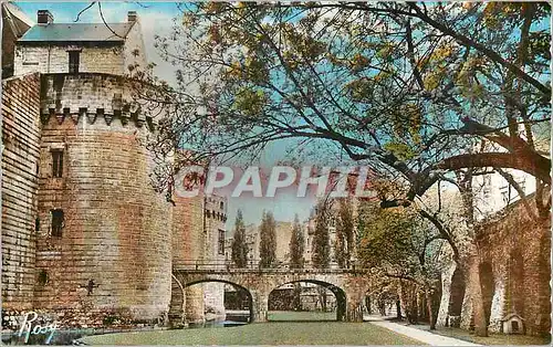 Cartes postales moderne Nantes L Entree du Chateau et les Fosses