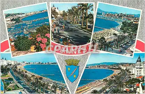 Cartes postales moderne La Cote d Azur Cannes