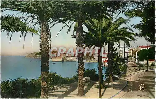 Cartes postales moderne Toulon Le Mourillon