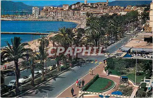 Cartes postales moderne Cannes La Croisette Vers le Suquet et l Esterel