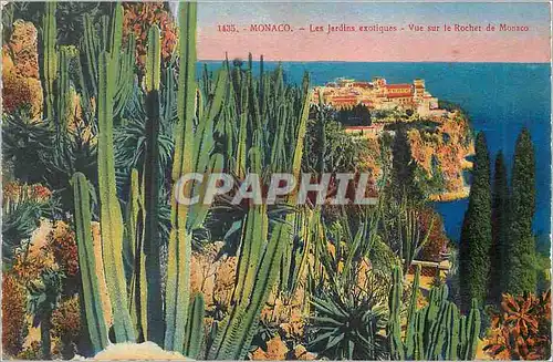 Cartes postales Monaco Les jardins exotiques Vue sur le Rocher de Monaco