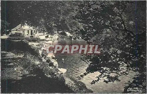 Cartes postales moderne Environs de Besse Les jolis bords du lac Pavin