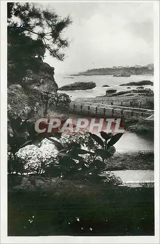 Cartes postales moderne Biarritz Port des Pecheurs Les rochers et le Phare