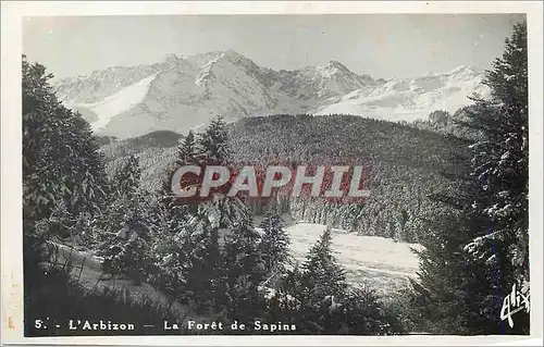 Cartes postales moderne L Arbizon La Foret de Sapins