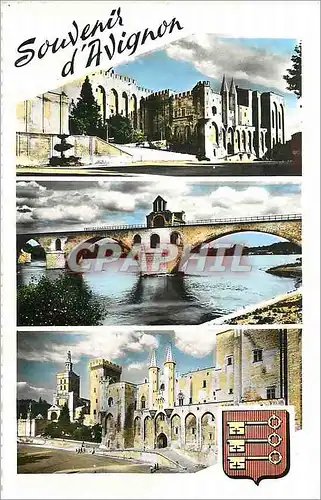 Cartes postales moderne Avignon Vaucluse Palais des Papes et Tour Campagne Le Pont St Benezet