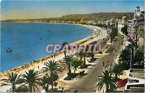 Cartes postales moderne Nice La Promenade des Anglais