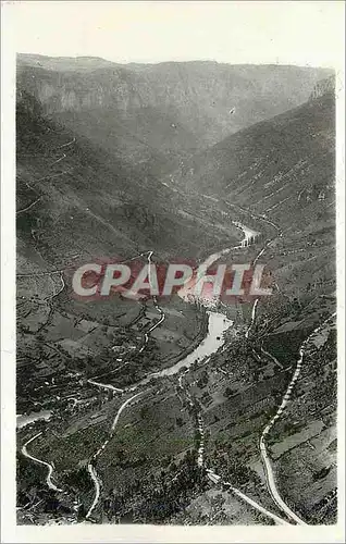 Cartes postales moderne Les Gorges du Tarn Les Vignes les Gorges Vues de la Route du point sublime