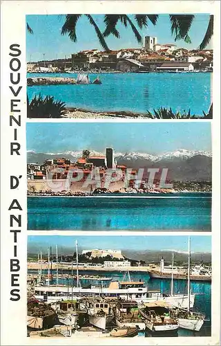 Cartes postales moderne Souvenir d Antibes