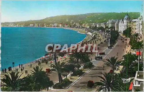 Cartes postales moderne Nice La Promenade des Anglais