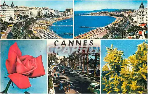 Cartes postales moderne Cannes La Croisette et le Suquet
