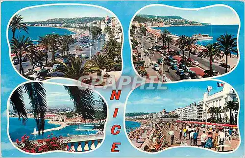 Cartes postales moderne La Cote d Azur Nice La Promenade des Anglais