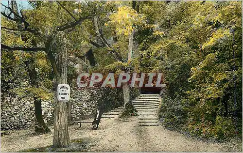 Cartes postales moderne Les Grottes d Arcy sur Cure Yonne
