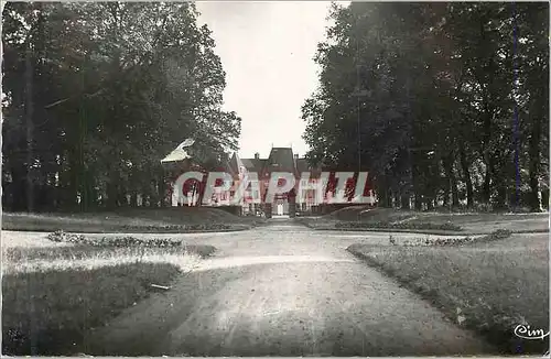 Cartes postales moderne Lugny les Charolles L Allee et le Chateau