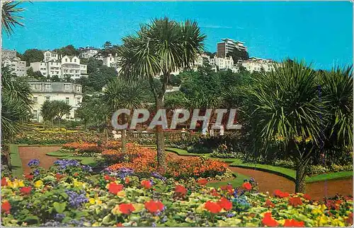 Cartes postales moderne Abbey Gardens Torquay