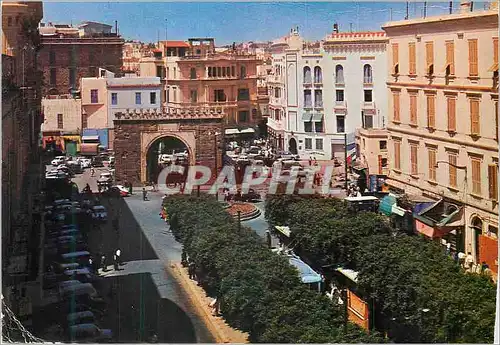 Cartes postales moderne Tunis Porte de France