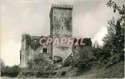Cartes postales moderne Le Chateau fort de Mauvezin Forteresse anterieure