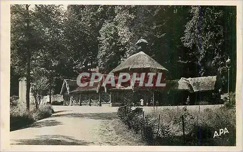 Cartes postales moderne Luchon Hte Gne La Buverte du Parc