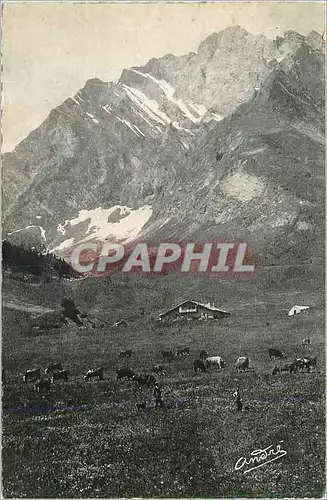 Cartes postales moderne Paysages Alpestres Paturage dans un vallon