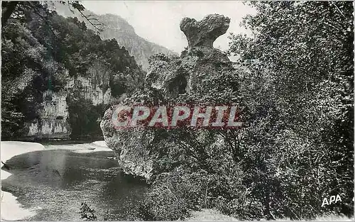 Moderne Karte Les Gorges du Tarn Le Champignon