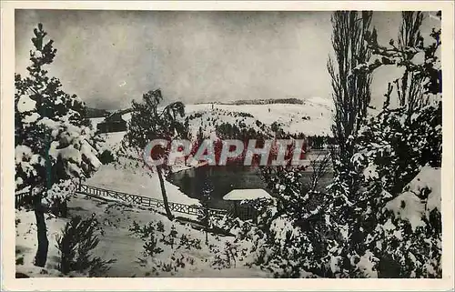 Cartes postales moderne Lac d Issarles Ardeche Un coin du lac sous la neige
