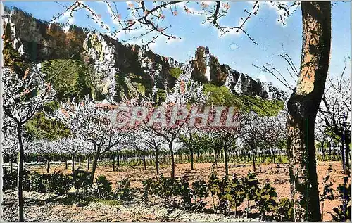 Cartes postales moderne La Vallee du Rhone Paysage de printemps a Crussol