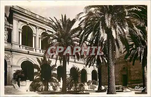 Cartes postales moderne Musee des Beaux Arts de Toulon Cour d Entree