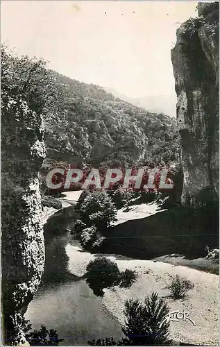 Cartes postales moderne Les Gorges du tarn Le Tarn vers les Baumes