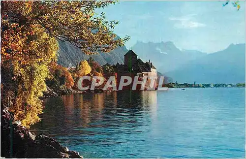 Cartes postales moderne Lac Leman Le Chateau de Chillon pris de Montreux en Automne