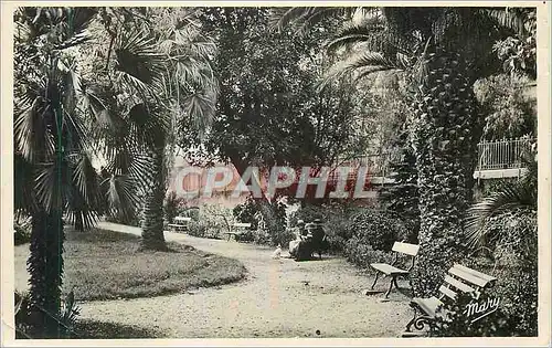 Cartes postales moderne Hyeres Le Jardin A Denis