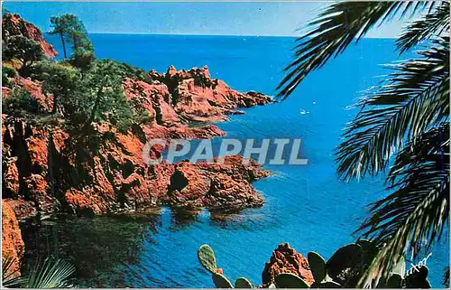 Cartes postales moderne La Cote d Azur et ses Merveilleux Paysages Les roches rouges en Mediterranne et les plantes exot