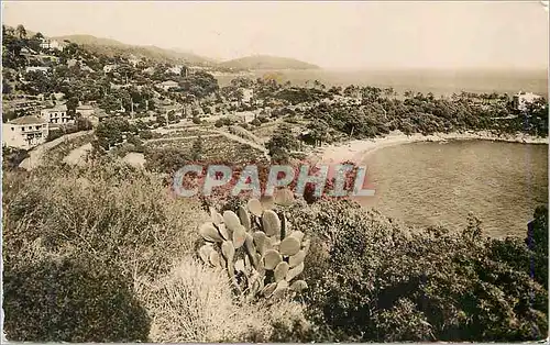 Cartes postales moderne Le Lavandou Var La Fossette