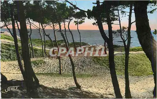 Cartes postales moderne Saint Jean de Monts Vendee Plage des Demoiselles