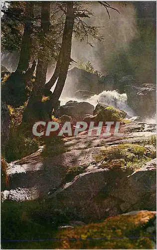 Cartes postales moderne De Cauterets au Pont d Espagne Cascade de Bousses