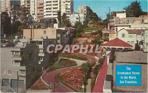 Cartes postales moderne Lombard Street One of the most picturesque in San Francisco