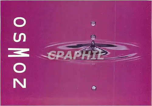 Cartes postales moderne Plartez z Zanzibar un jouant sur Ozmoz