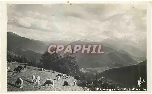 Cartes postales moderne Col d Aspin