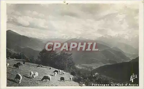 Moderne Karte Col d Aspin