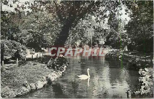 Cartes postales moderne La Rochelle Ch Mme Le Mail L Etang des Cygnes